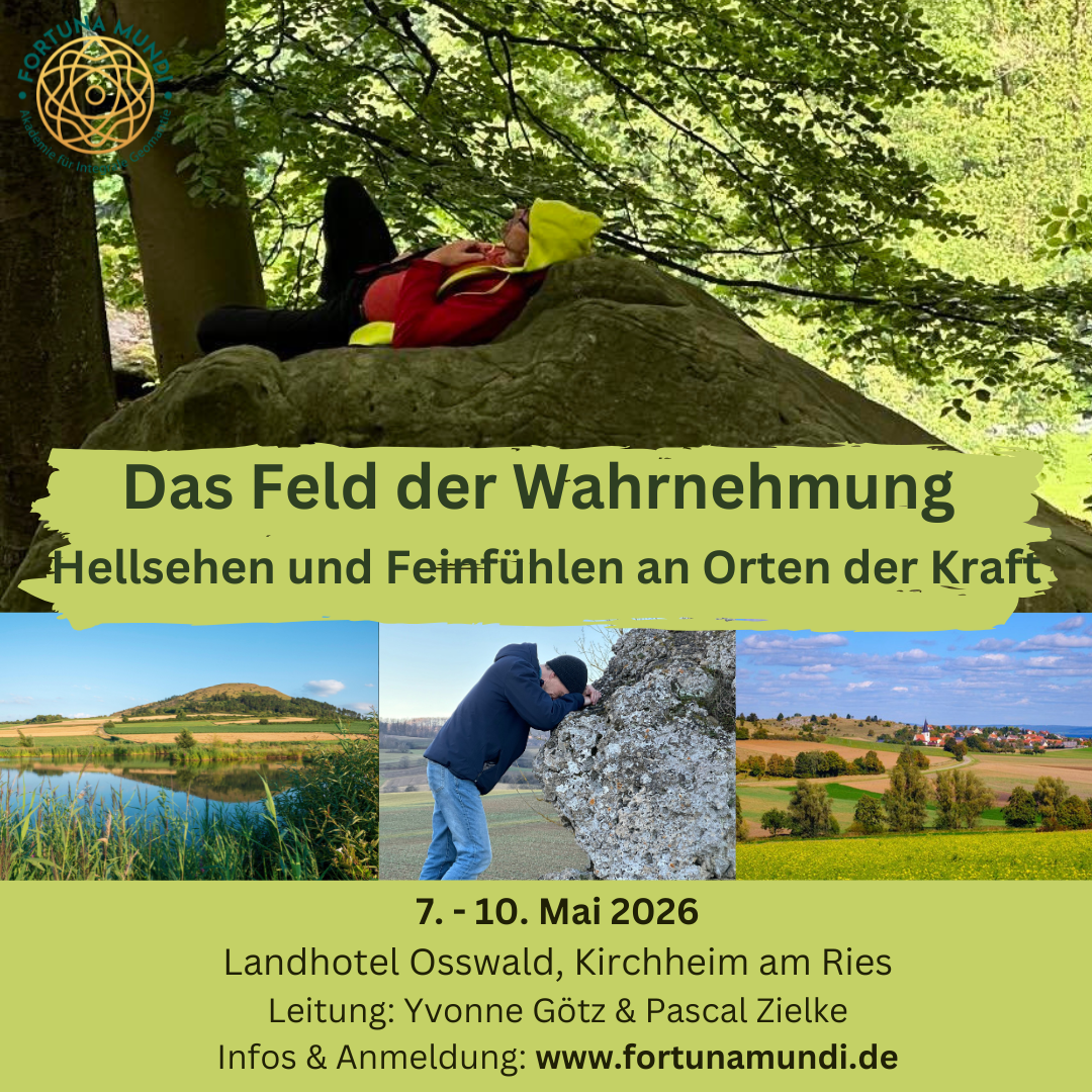Feld der Wahrnehmung