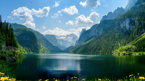 Erdheilung - Ganzwerdung für Mensch und Landschaft