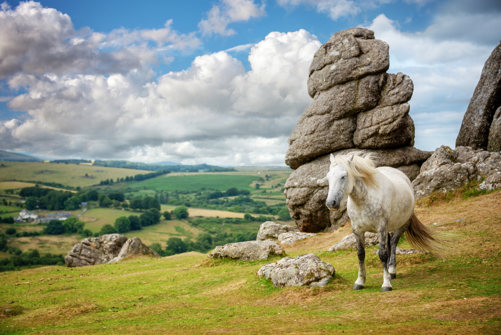 shutterstock 1751517692M