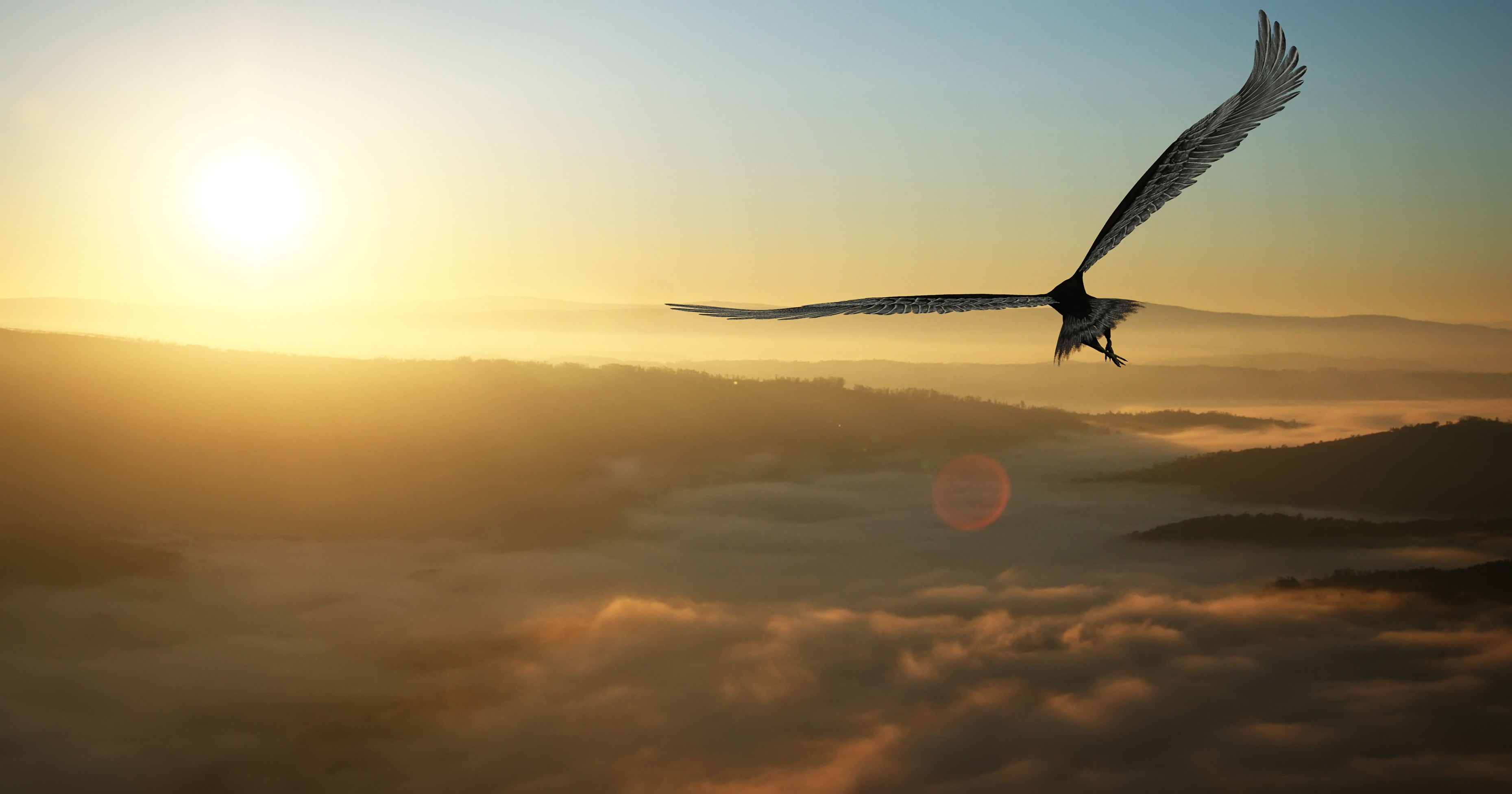 shutterstock 214291021