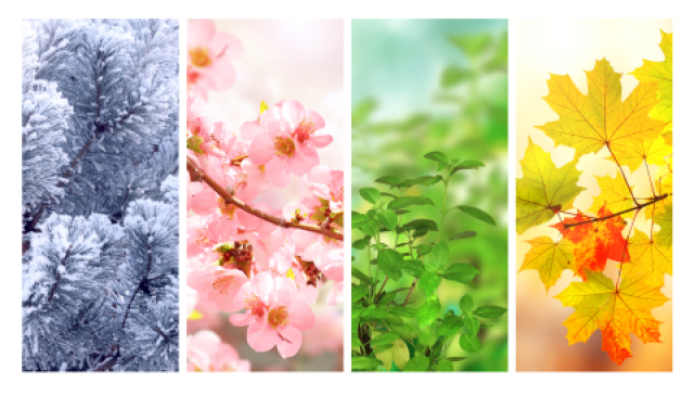 Der Kreislauf der Elemente – Mit Feng Shui durch die Jahreszeiten 